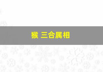 猴 三合属相